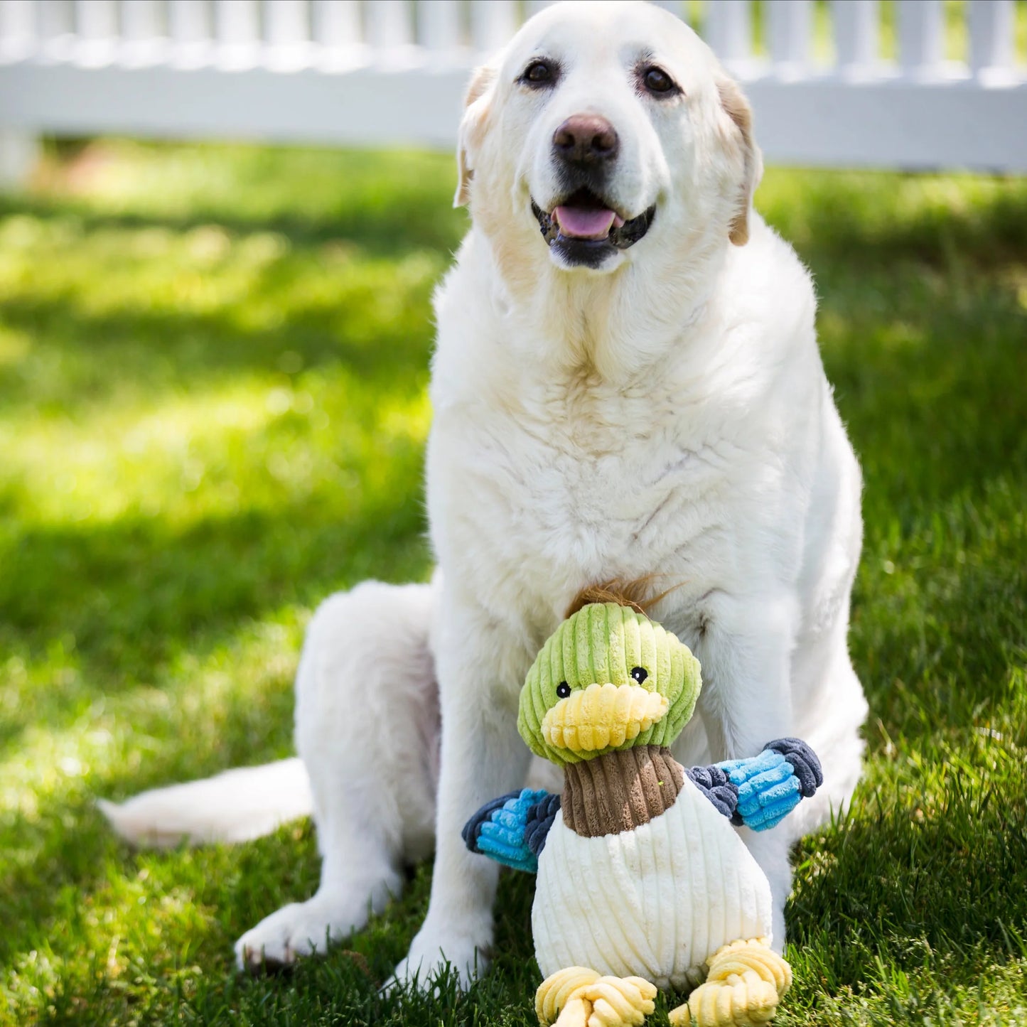 Knottie Duck Toy - Dog Toy - Durable Toy - 2 Sizes