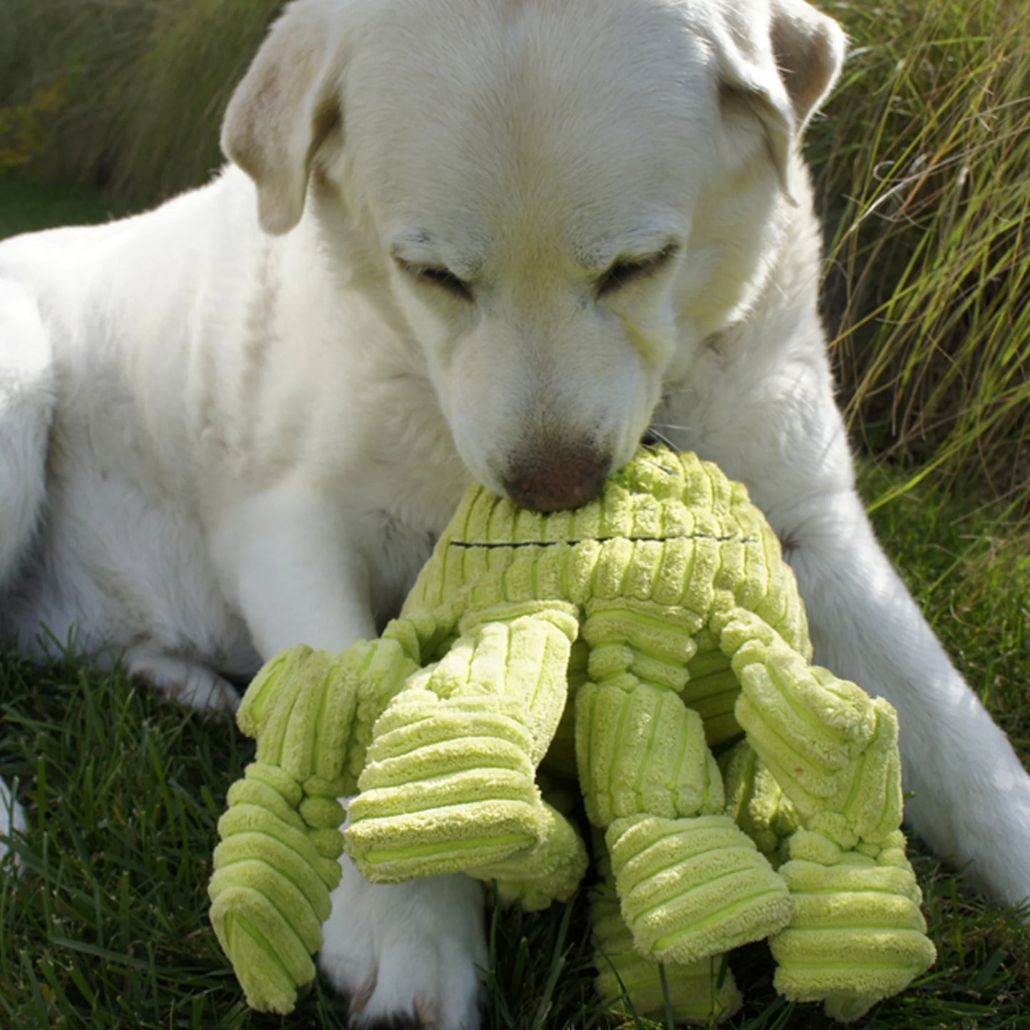 Knotties Octopus Toy - Dog Toy