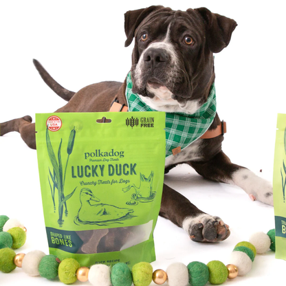 Lucky Duck Bone Shaped treats 8 oz