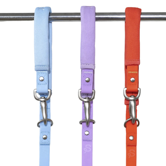 Poly Flex Dog Leash - 2 color option