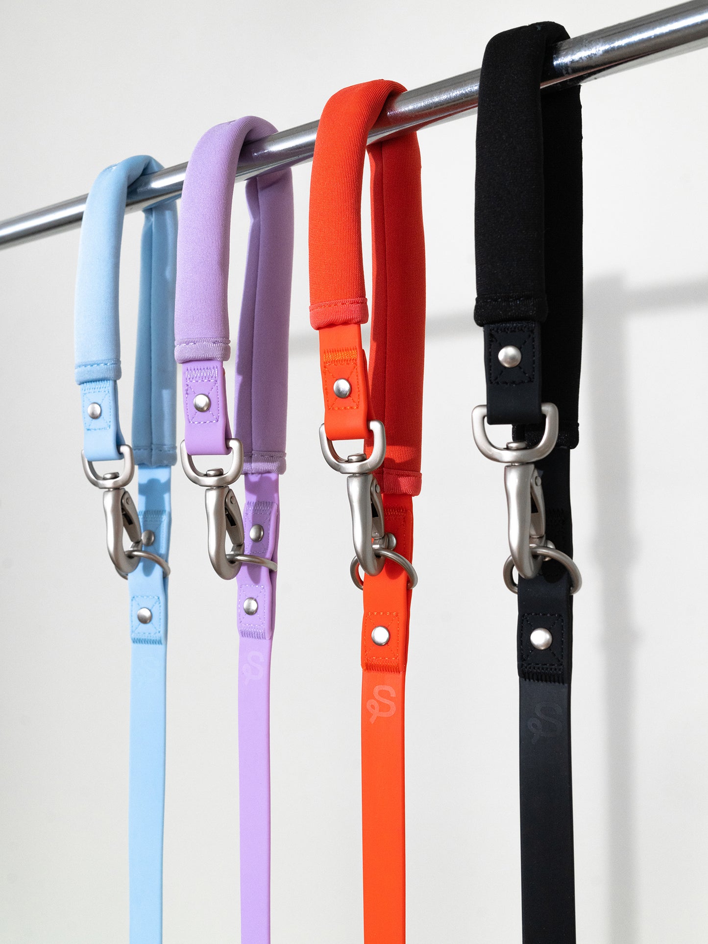 Poly Flex Dog Leash - 2 color option