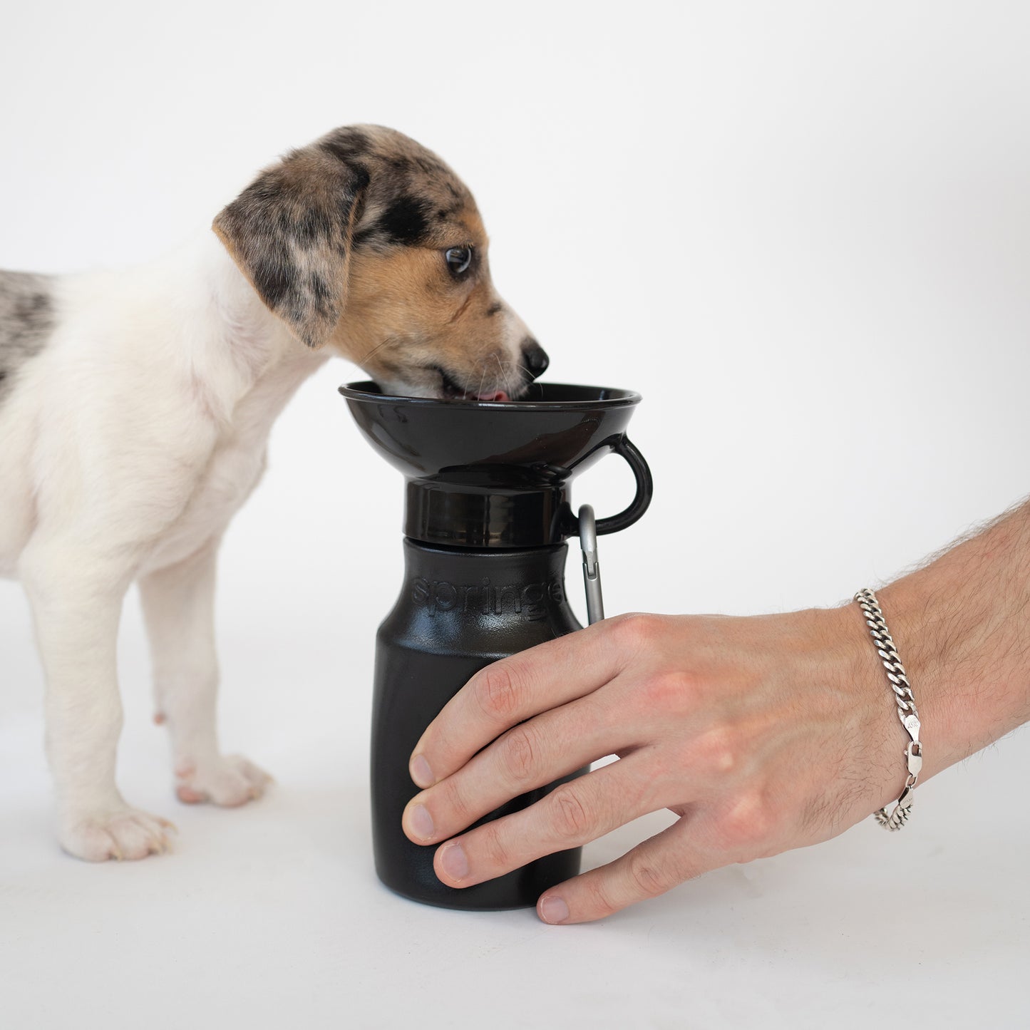 Dog Water Travel Bottle - 4 color options