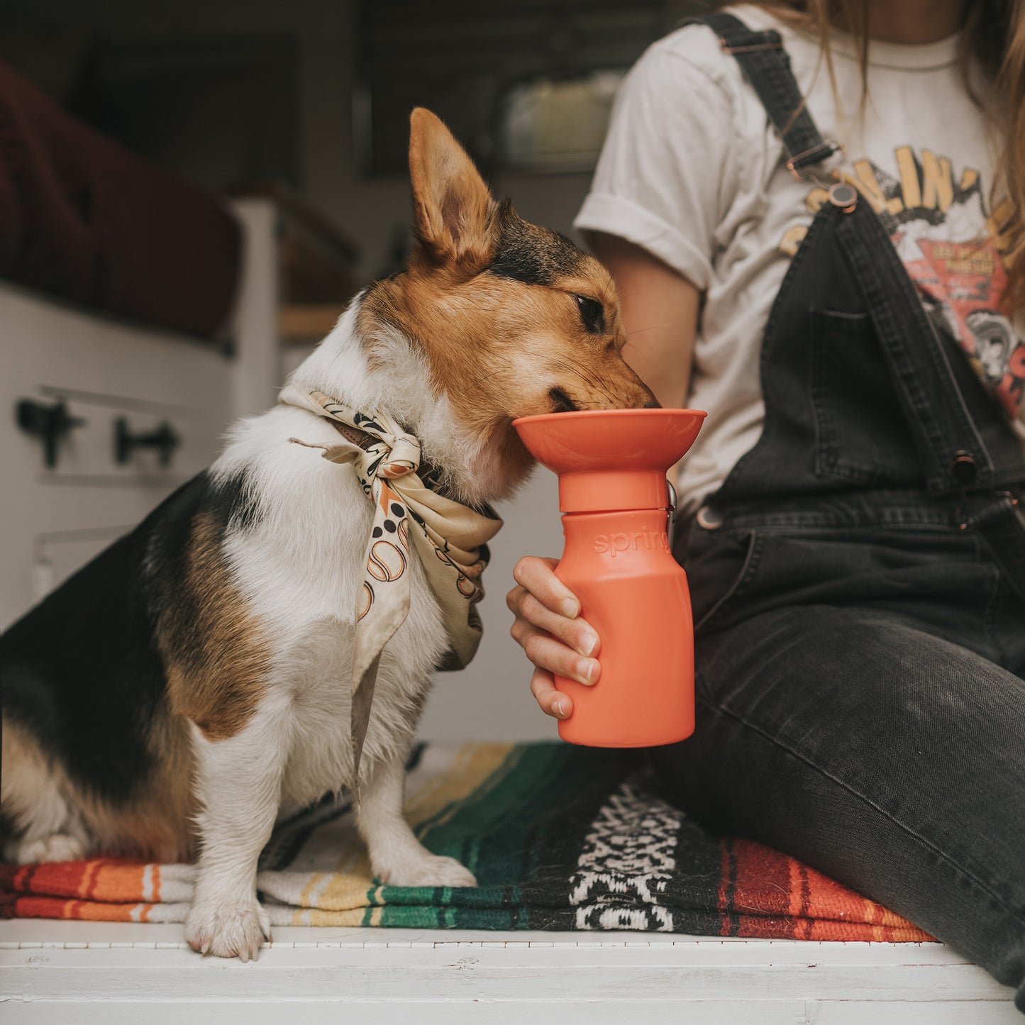 Dog Water Travel Bottle - 4 color options