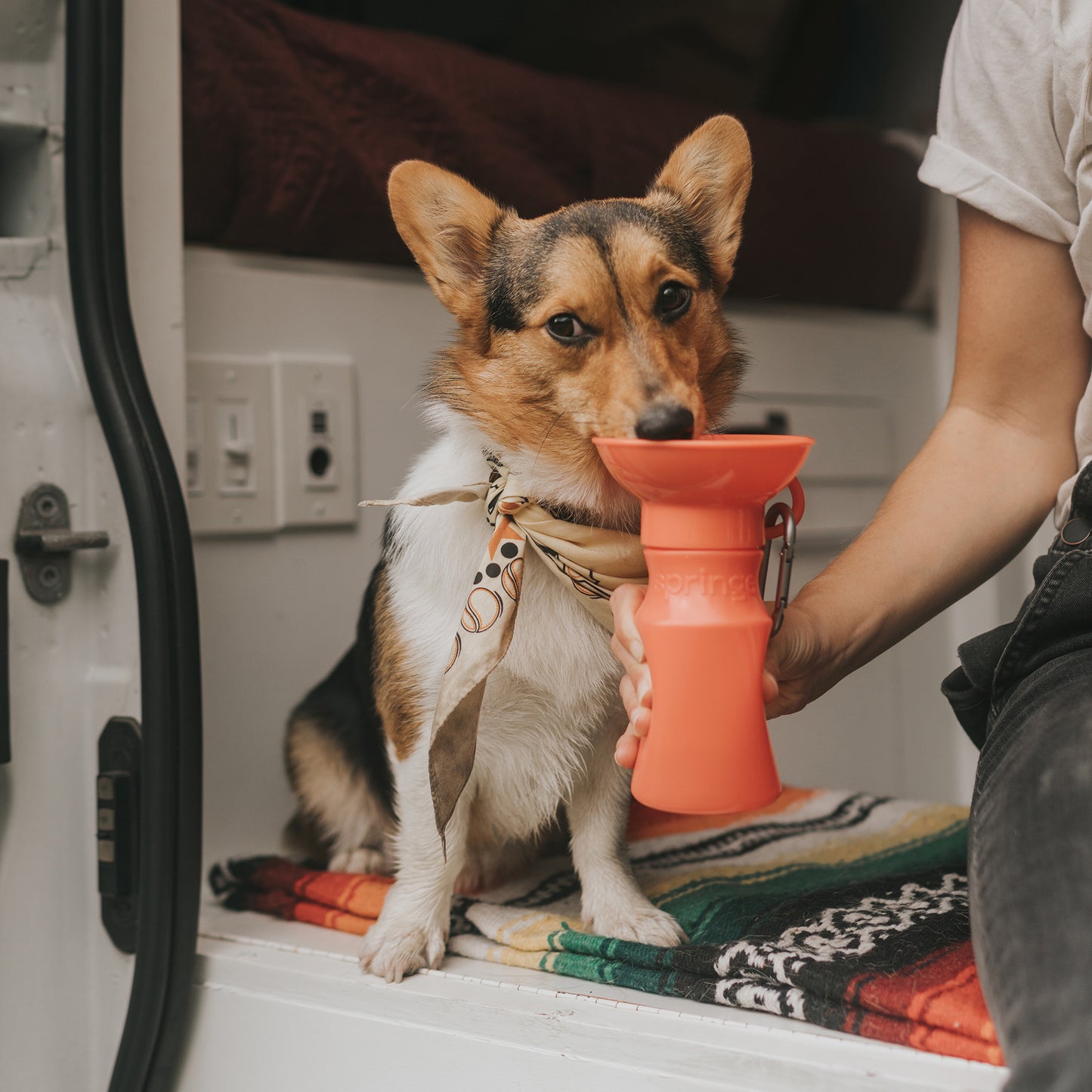 Dog Water Travel Bottle - 4 color options