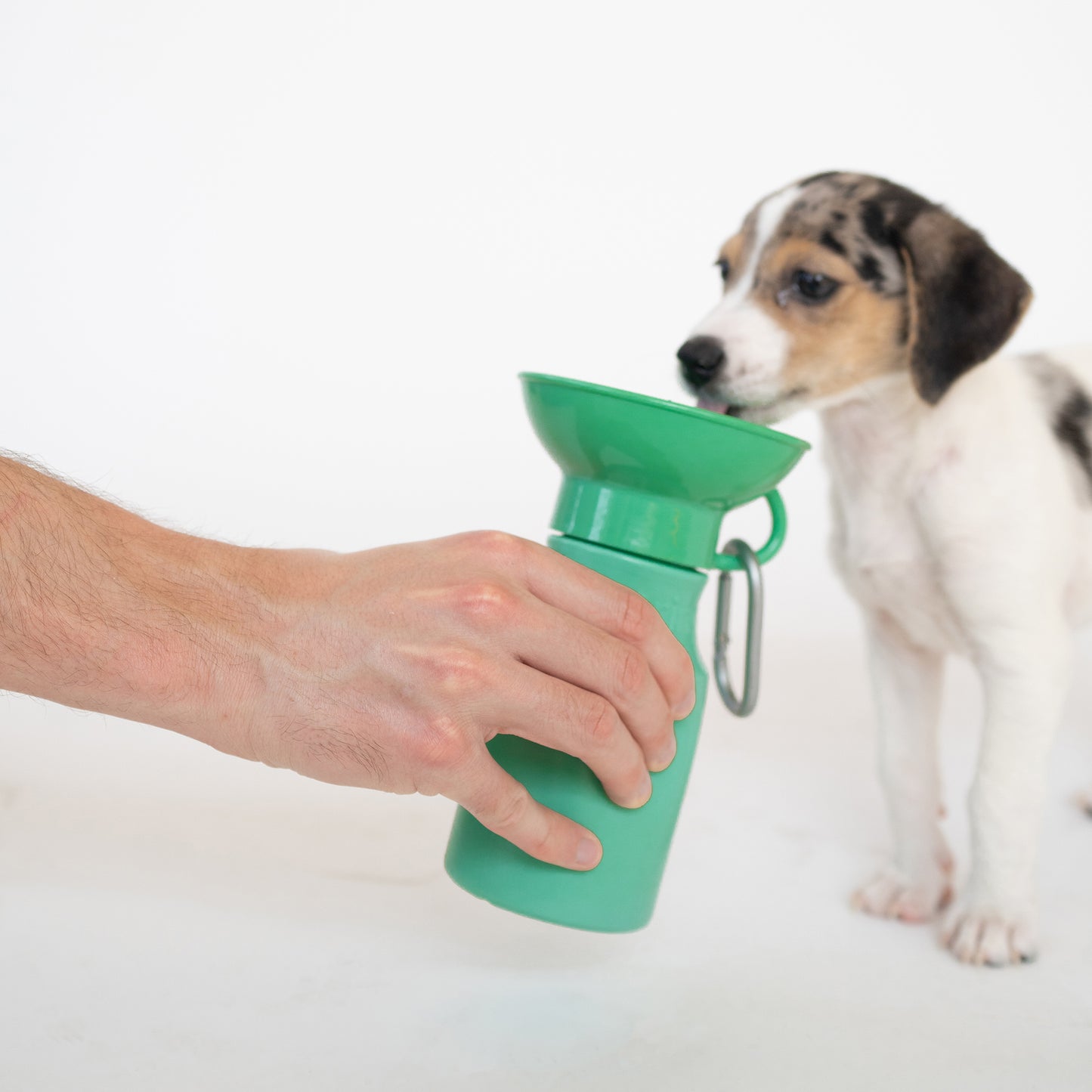 Dog Water Travel Bottle - 4 color options