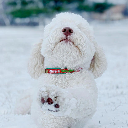 Christmas - Holiday Collars Naughty & Nice