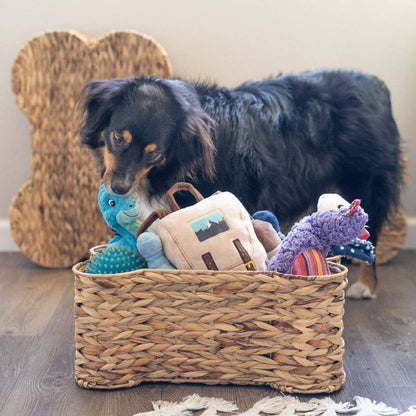 Bin - Dog Basket Toy Bin Bone Shape - Three Sizes