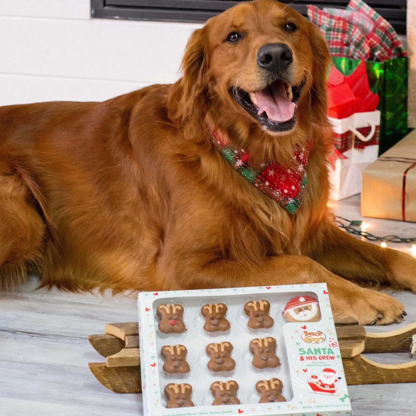 Christmas - Santa and Reindeer - Cookies