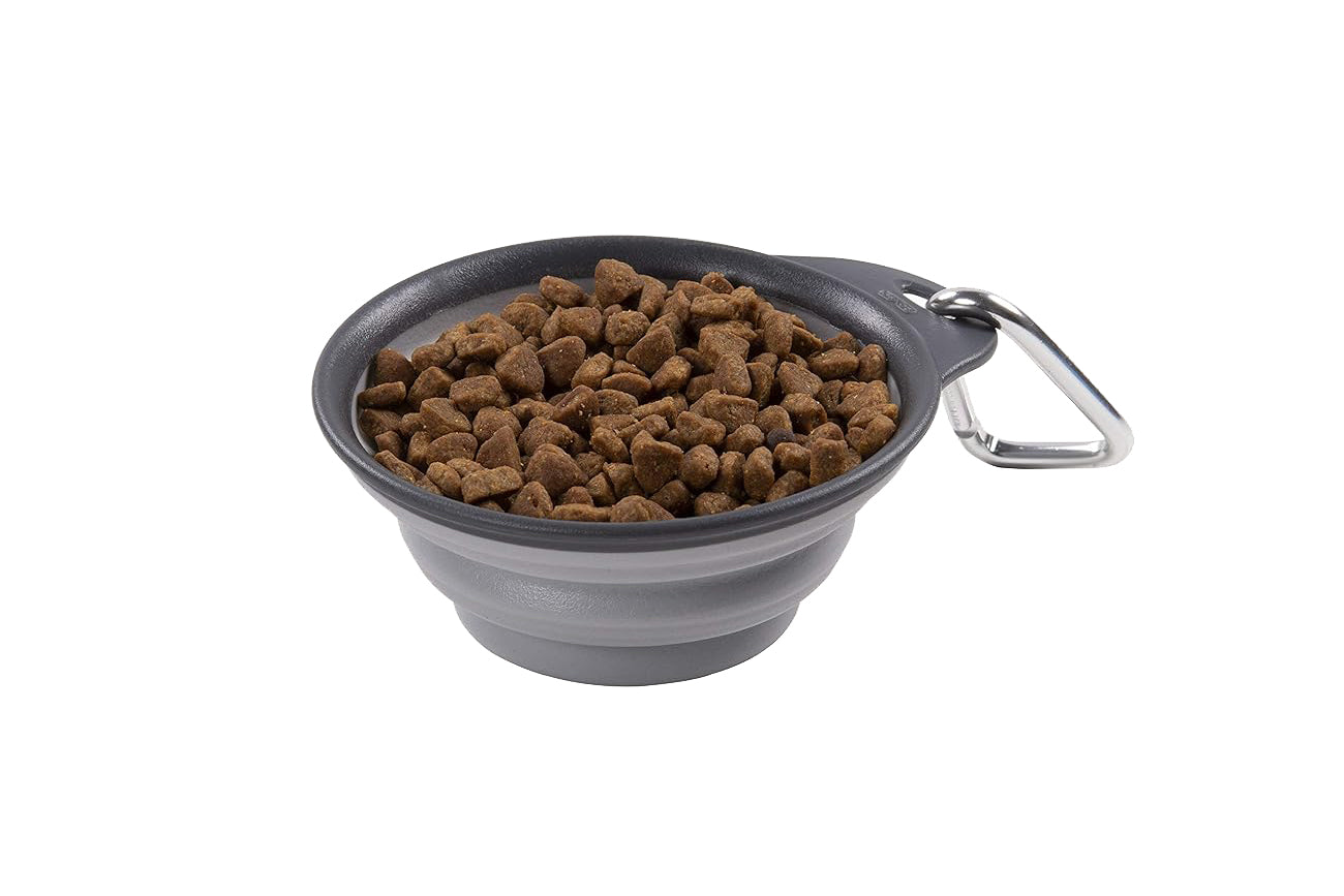 Dog Bowl - Rubber Travel Bowl - 3 Color Options - 2 Sizes