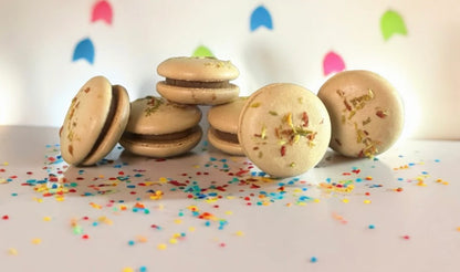 Birthday - Three pc Dog Macarons