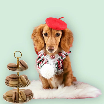 Christmas - Six pc Dog Macarons - Dog Treats - 3 Flavors