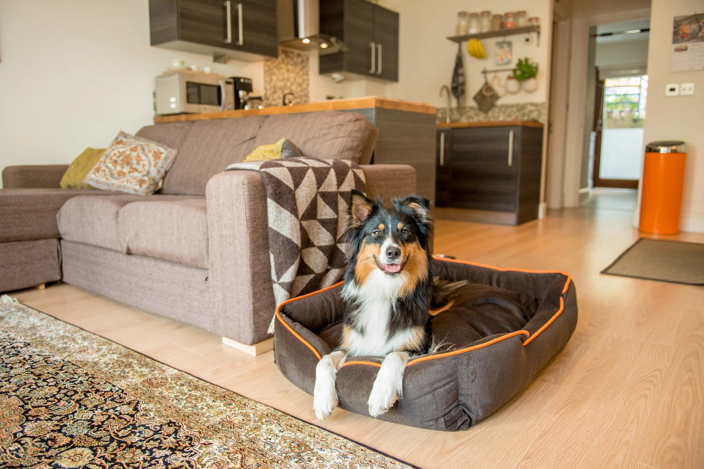 Lounger - Dog Bed - Soft Plush Fabric - Brown Plush or Navy Plush - 2 Color Options