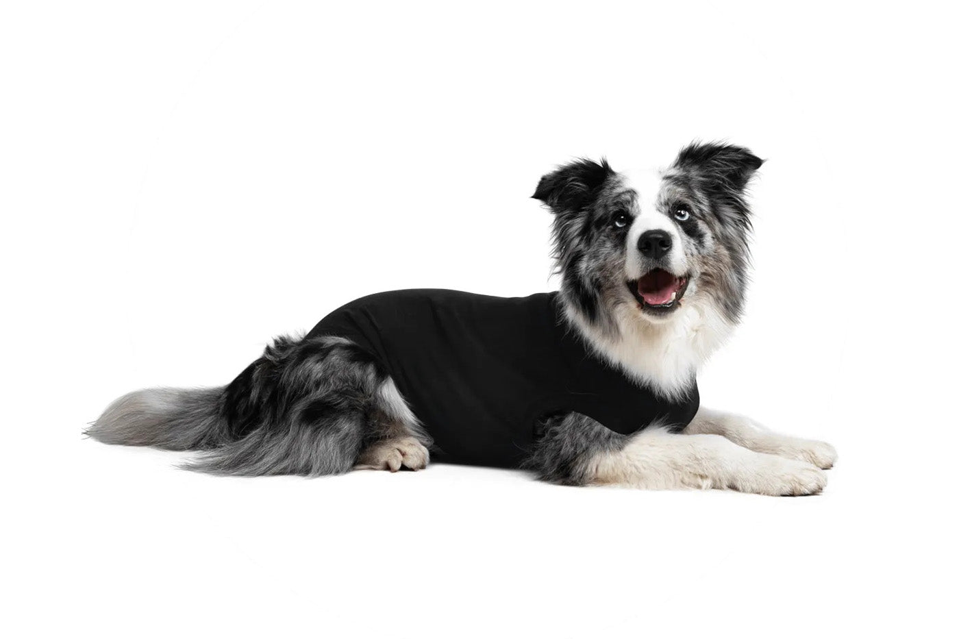 Suitical Recovery Suit for Dogs - Black