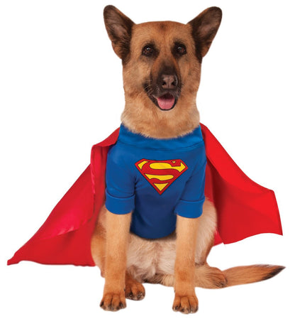 Dog Halloween Costumes | Superman