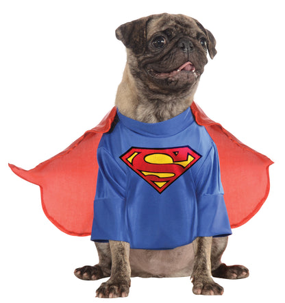 Dog Halloween Costumes | Superman