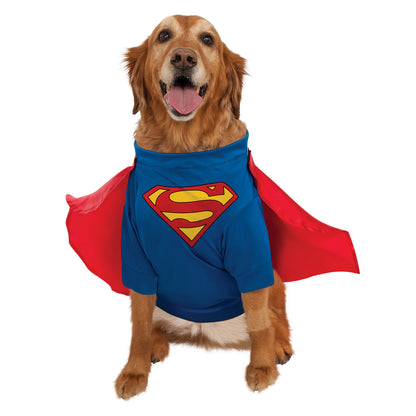 Dog Halloween Costumes | Superman