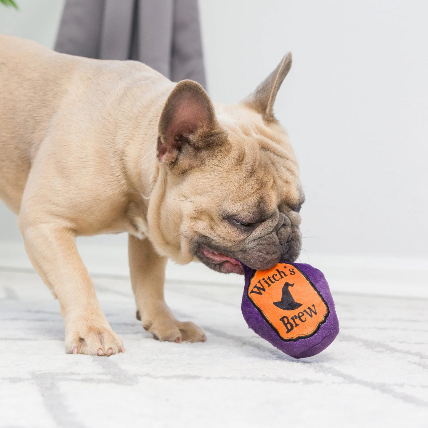 Halloween - Mini Witch's Individual Harvest Dog Toys