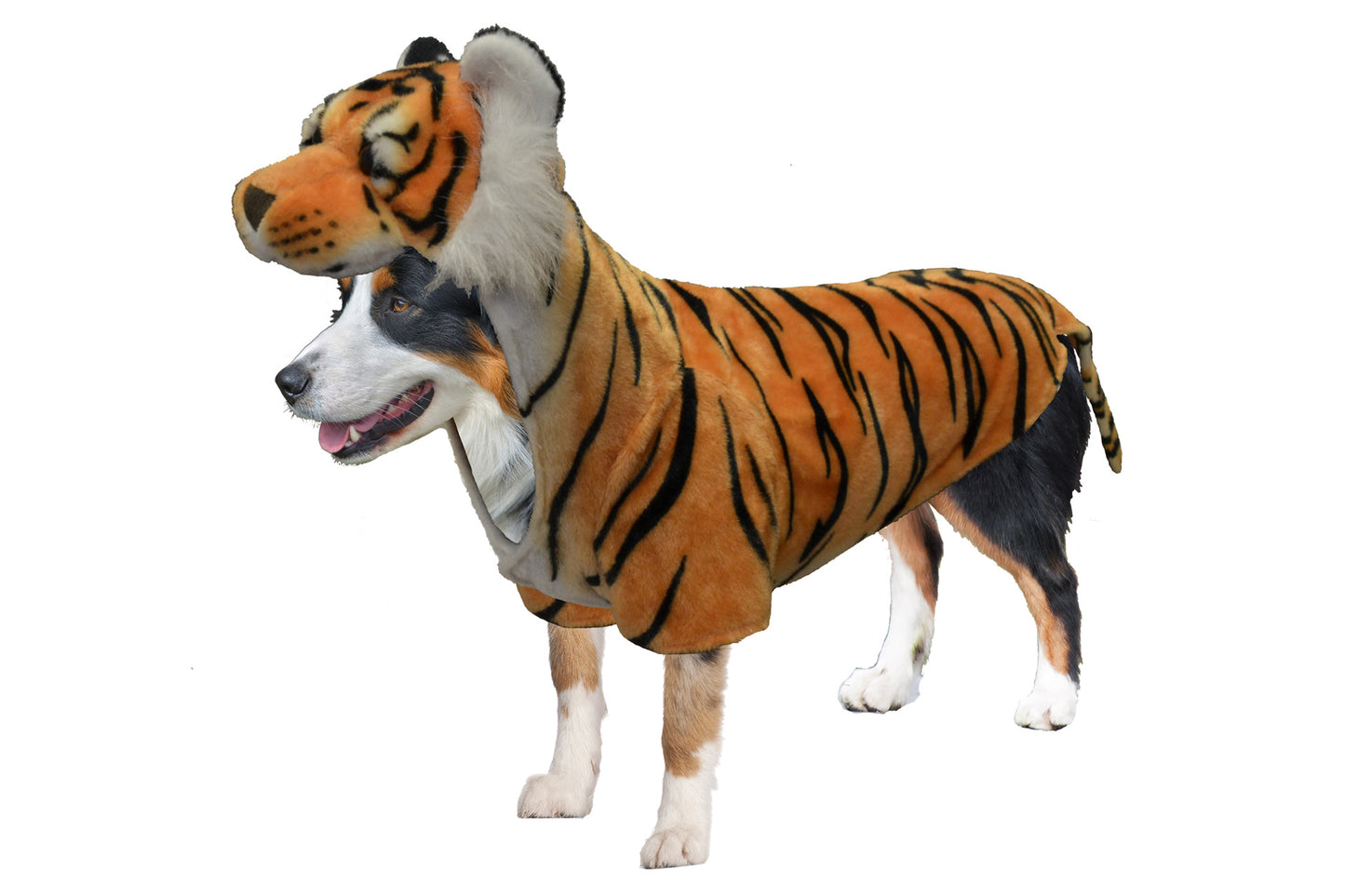 Dog Halloween Costumes | Tiger