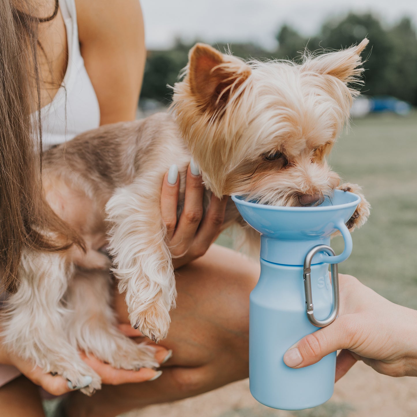 Dog Water Travel Bottle - 4 color options