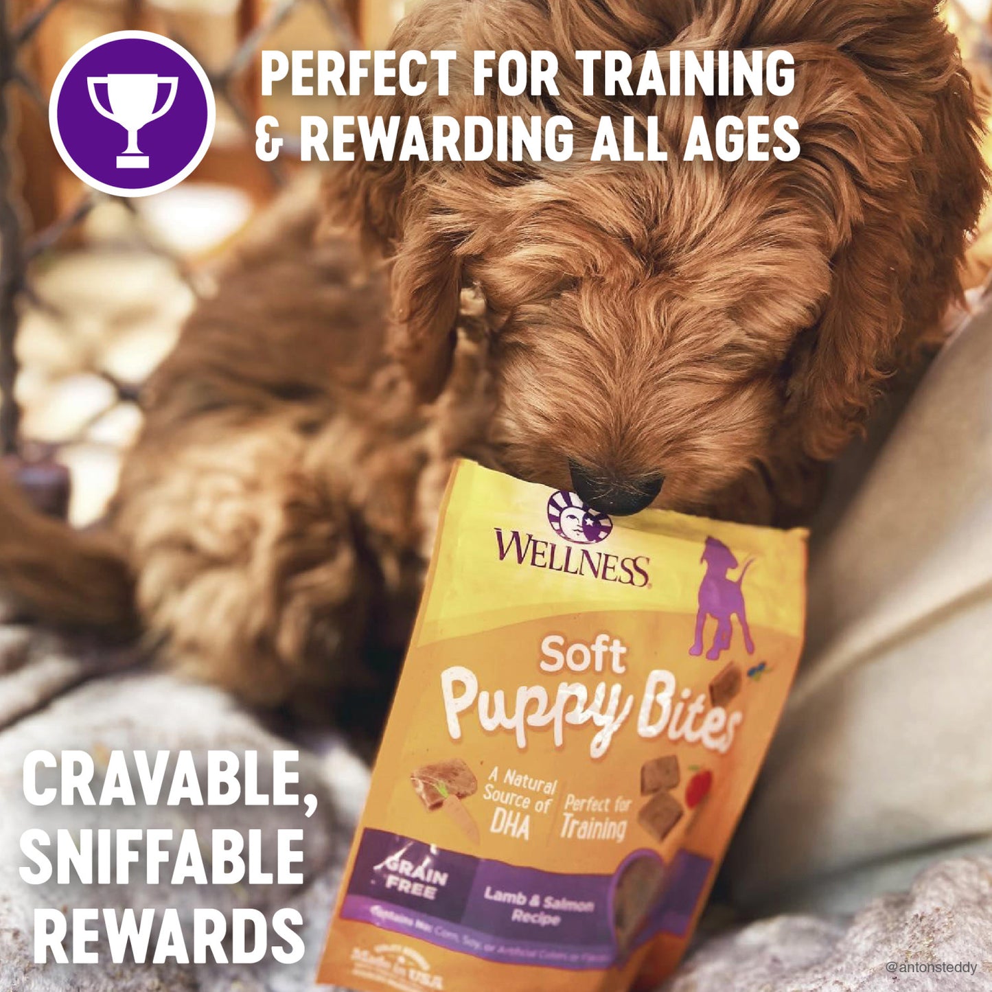 Puppy Treat - Wellness Treat - Training Treat - USA