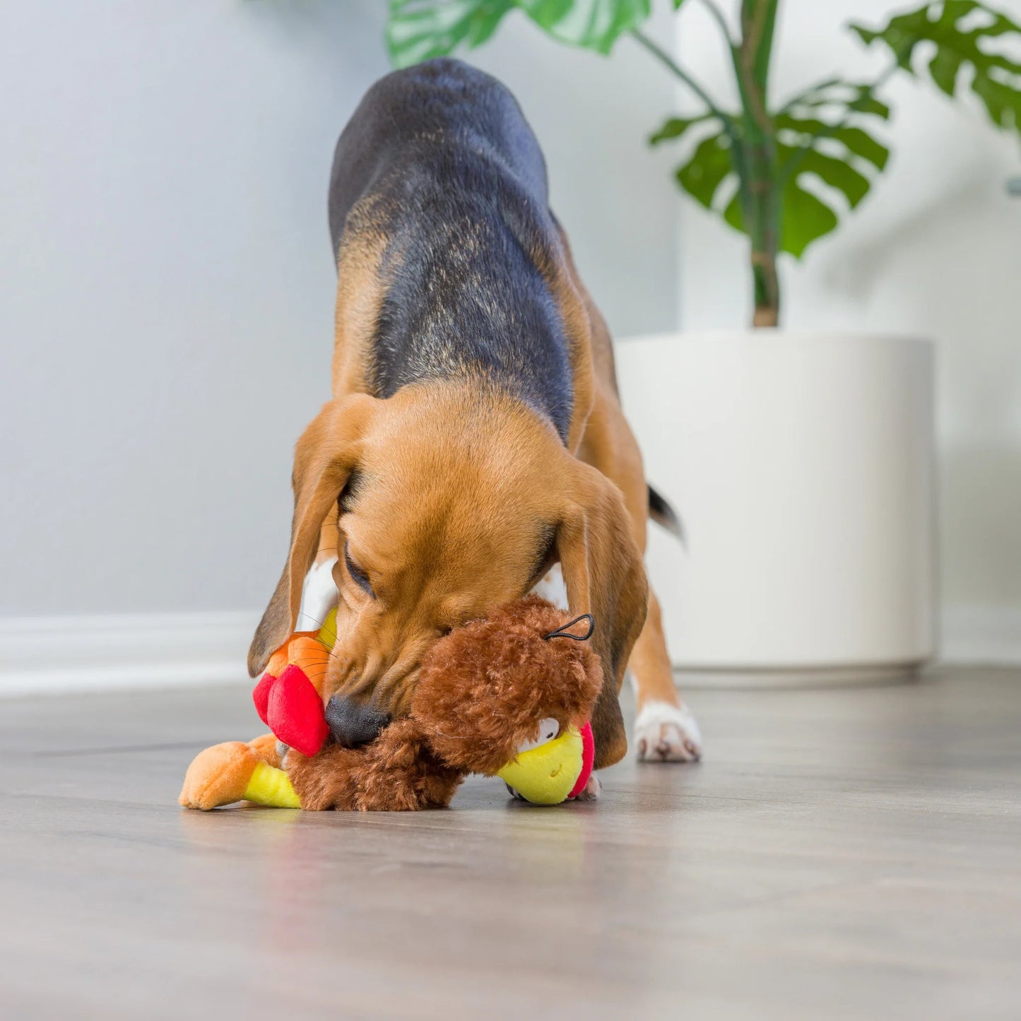 Thanksgiving - Wishbone Turkey Dog Toy - 2 Sizes