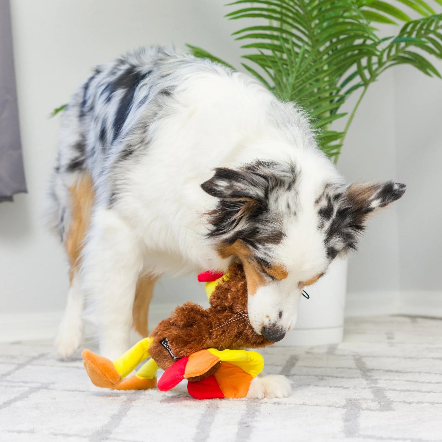 Thanksgiving - Wishbone Turkey Dog Toy - 2 Sizes