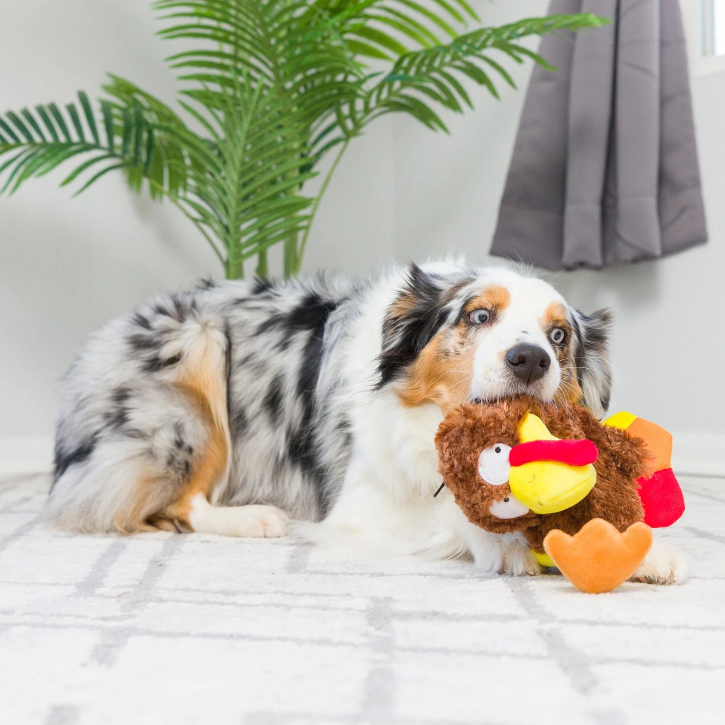 Thanksgiving - Wishbone Turkey Dog Toy - 2 Sizes