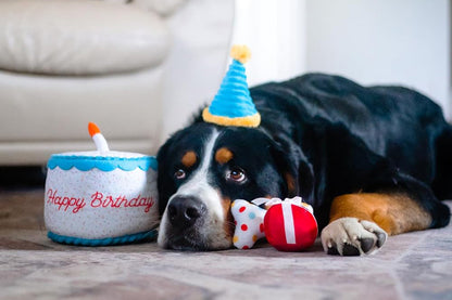 Birthday Cake Burrow