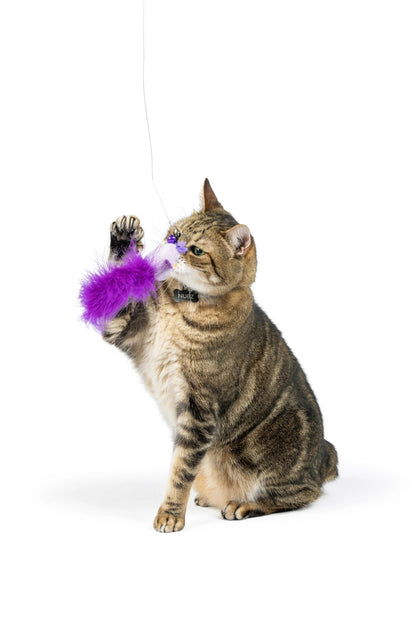 Cat Toy - Purple Birdy Feather Teasers 2pk Refill