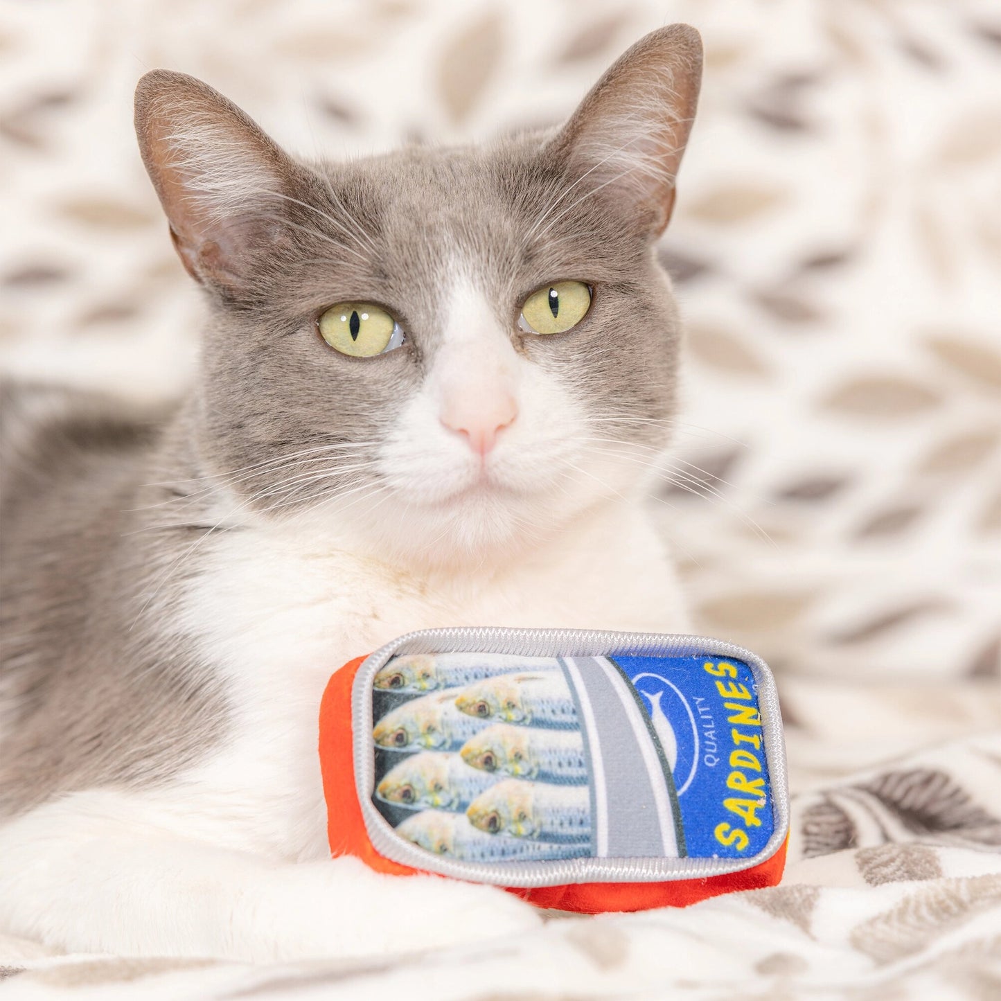 Cat Toy - Sardine Tin