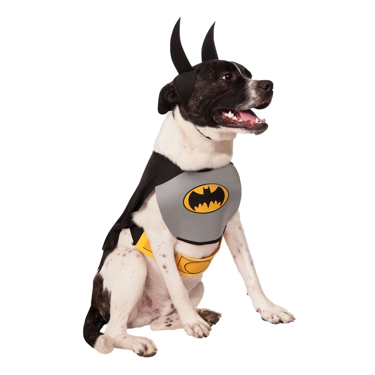 Dog Halloween Costumes | Batman Classic