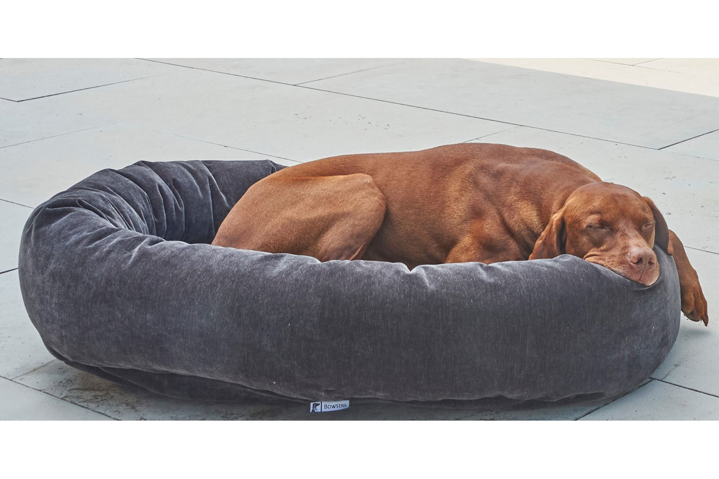 Microvelvet - Donut Bed - Carbon - Dog Bed