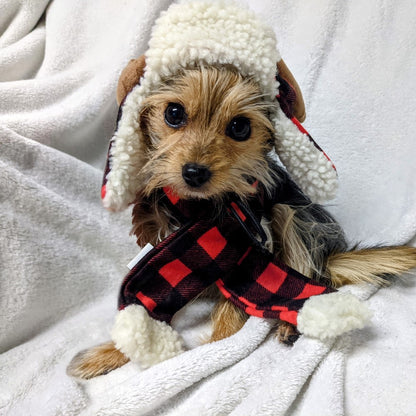 Buffalo Holiday Antler - Dog Headband - Holiday Dog Hat