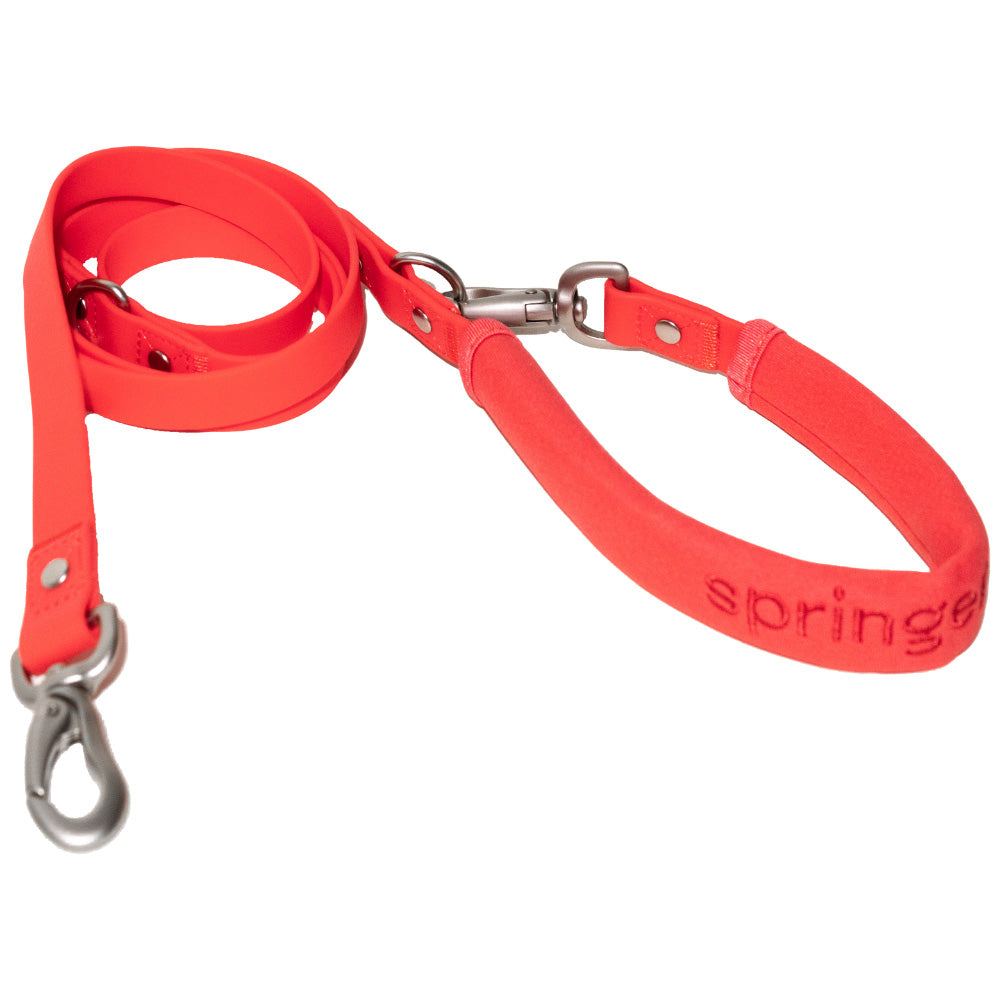 Poly Flex Dog Leash - 2 color option