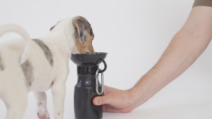 Dog Water Travel Bottle - 4 color options