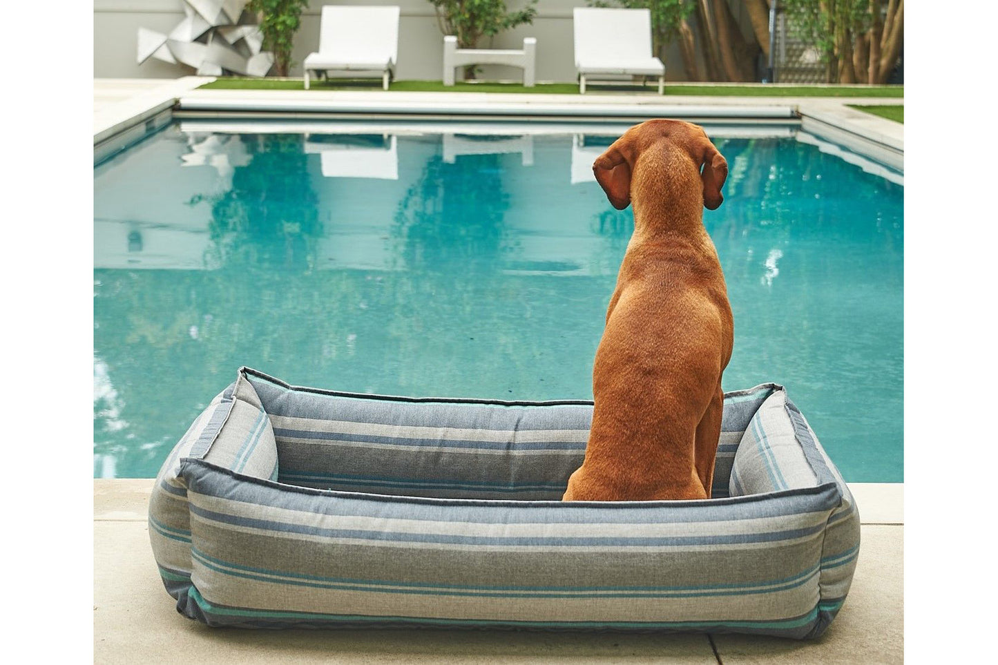 Lounger - Poolside - Dog Bed