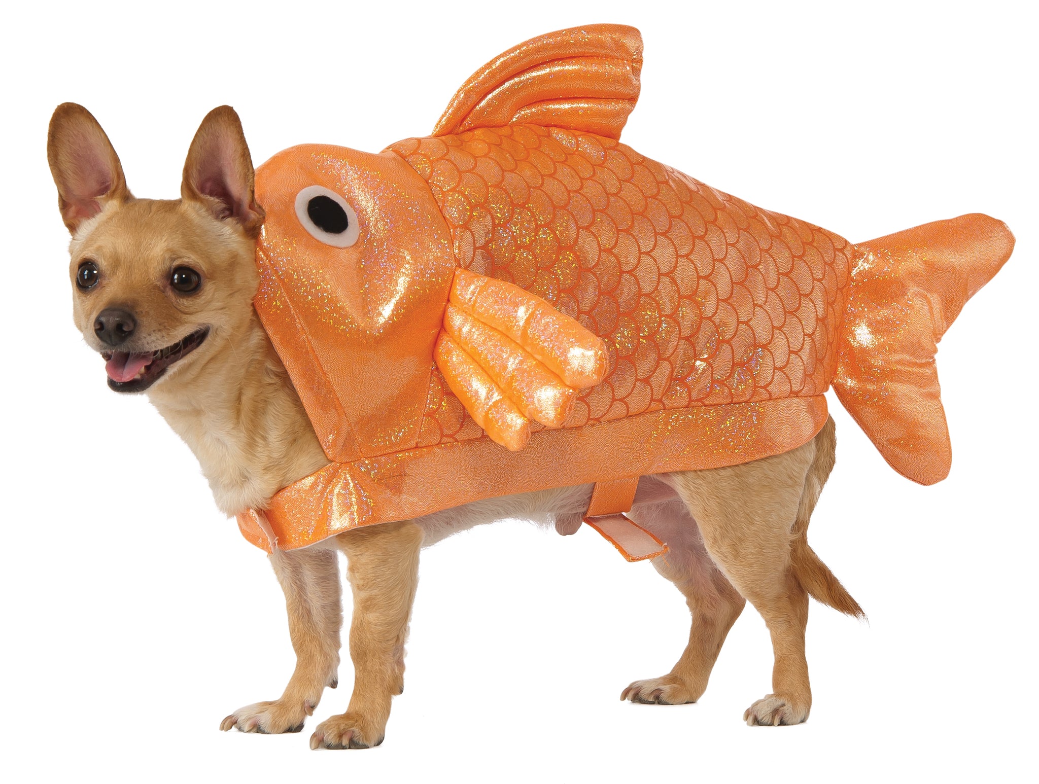 Dog Halloween Costumes  GOLD-FISH – Canine Styles