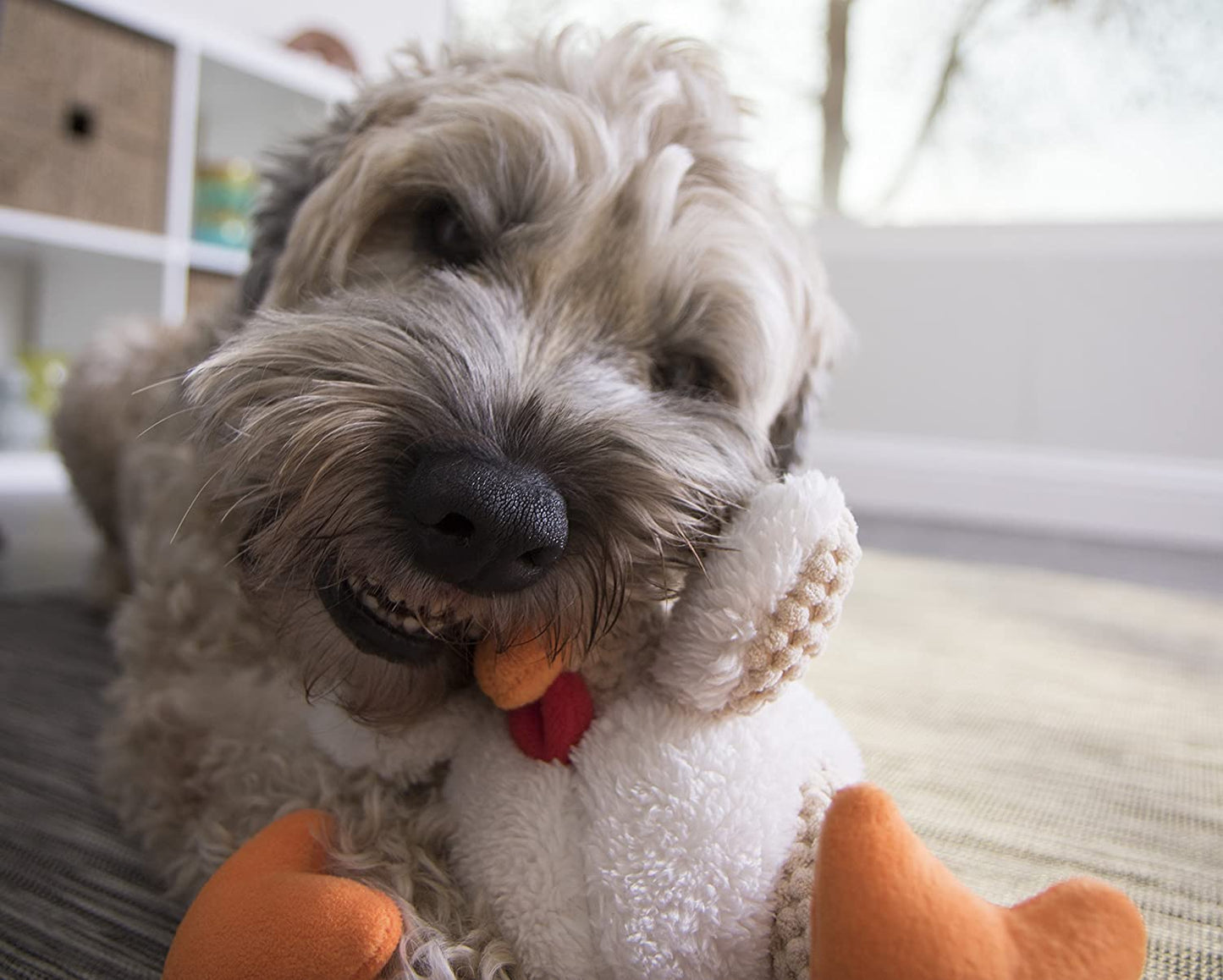 Checkers Chicken - Chew Guard Technology - Plush Squeaker Dog Toy - 3 sizes