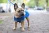 Dog Coat - Slickers, Raincoats, 6 Color Options