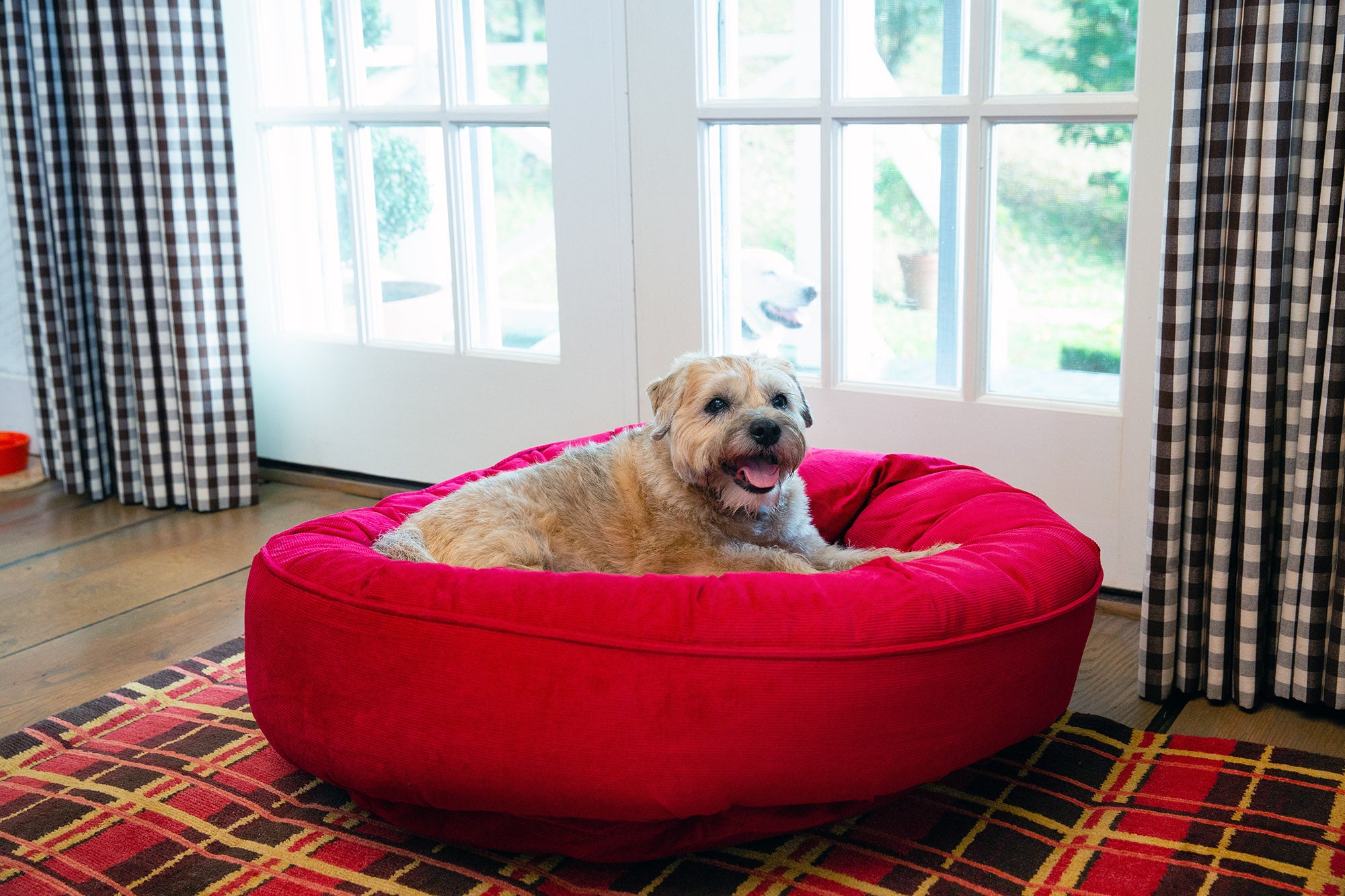 Treat fashion dog bed