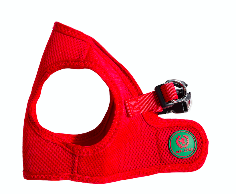 Mesh Step-in Harness - 7 Color Options