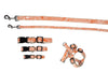 Designer Collection - Collar, Harness, & Lead - Curacao Orange